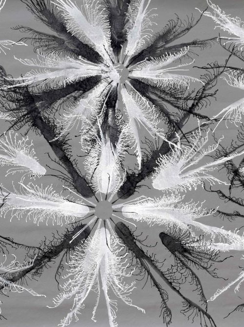 Exploflora Series No. 66 by Sumit Mehndiratta