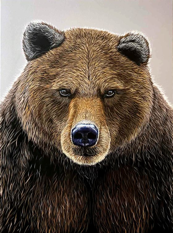 Brown Bear - wild life / wild animal / animalism