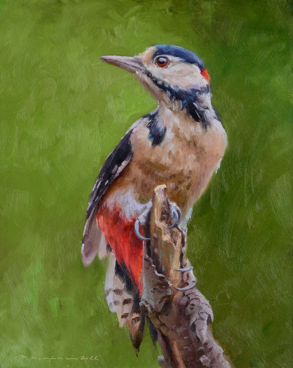 Photorealistic Animal Oil Painting By Ruslan Kiprych, 9 X 12", Woodpecker, Original Artwork