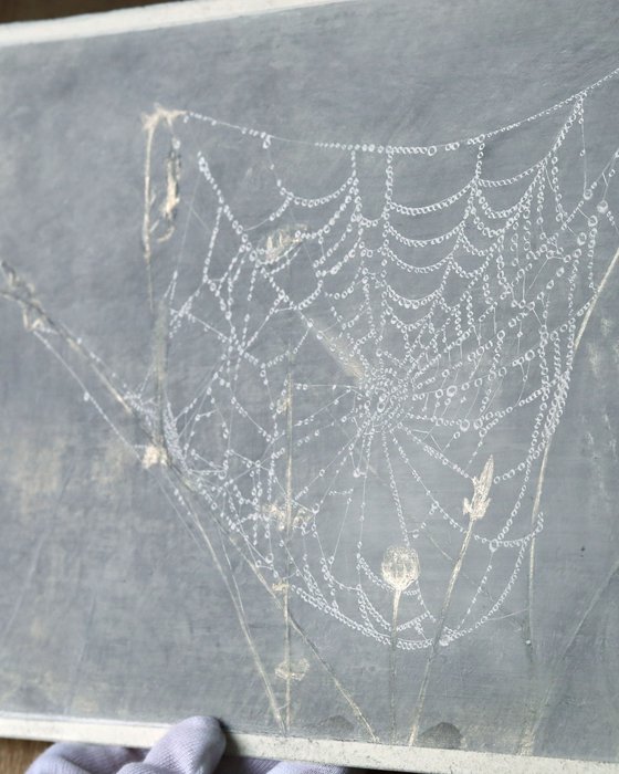 Spiderweb: Draped Lace