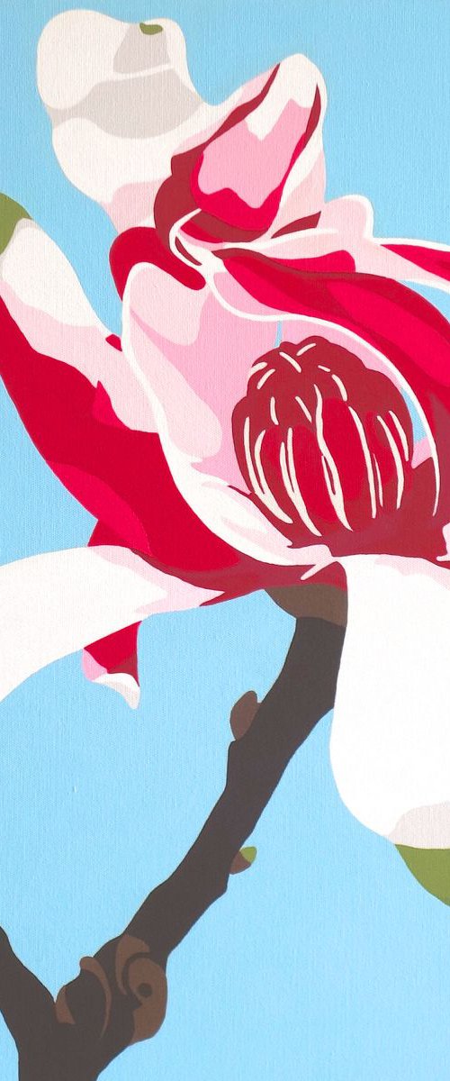 Pink Magnolia by Susan Porter