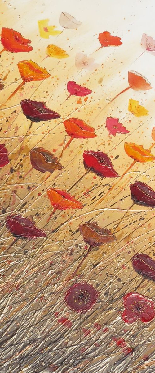Salsa of Poppies by Amanda Dagg