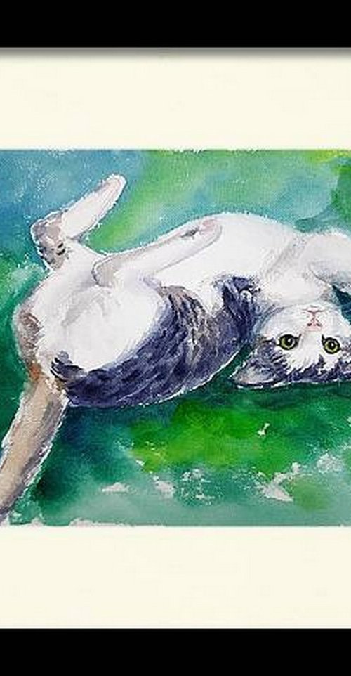 Playful cat rolling on the green couch by Asha Shenoy