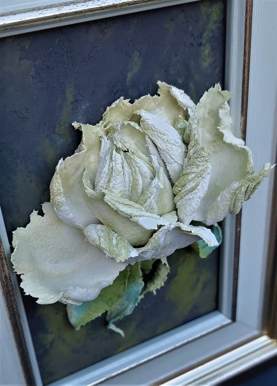 Relief painting with white-green rose on a dark backgroud. Framed. The Rose Portrait. 16x21x5cm