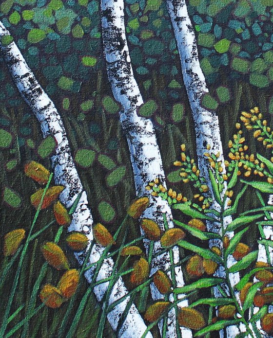 Birches with Goldenrod