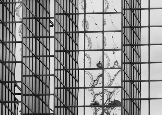 Windows I