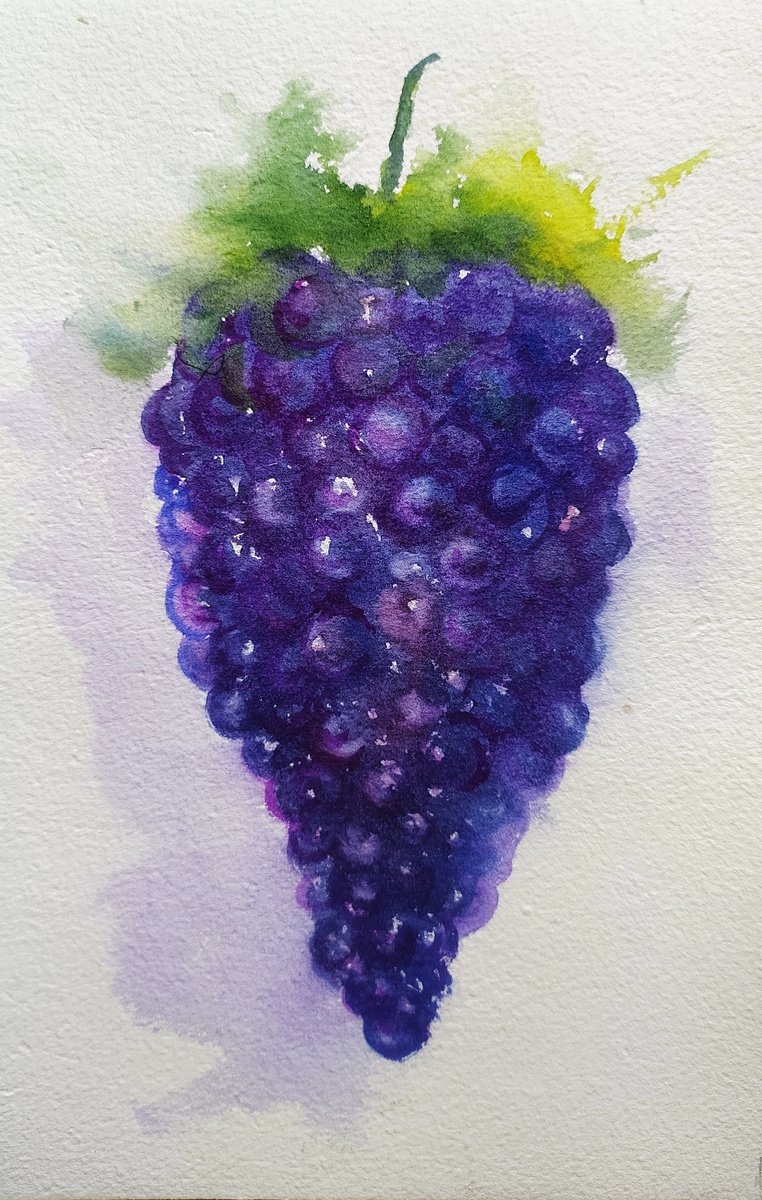 Purple grapes watercolor on paper 8.25x 5.25 by Asha Shenoy