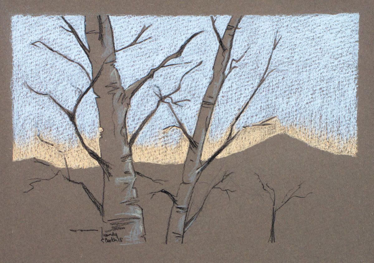 Winter Birches - Bare trees against a fading blue and orange sky by Wendy Booth