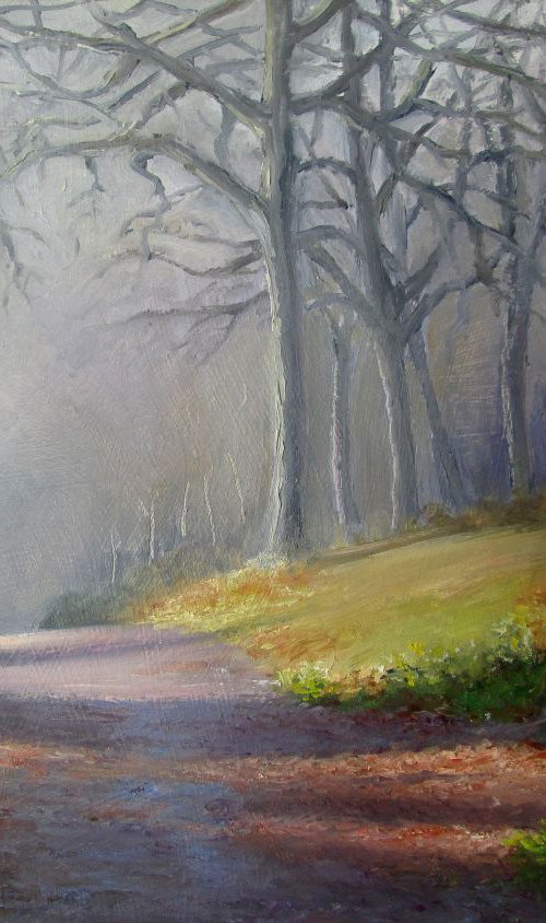 Sunlight through the trees by Ray Sandom