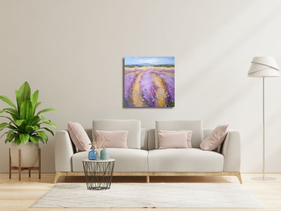 LAVENDER TIME
