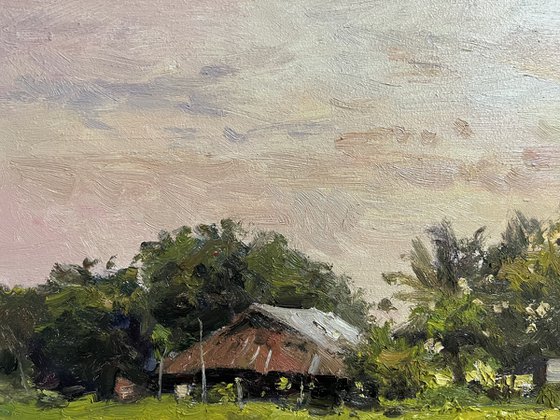 Twilight Rice Fields
