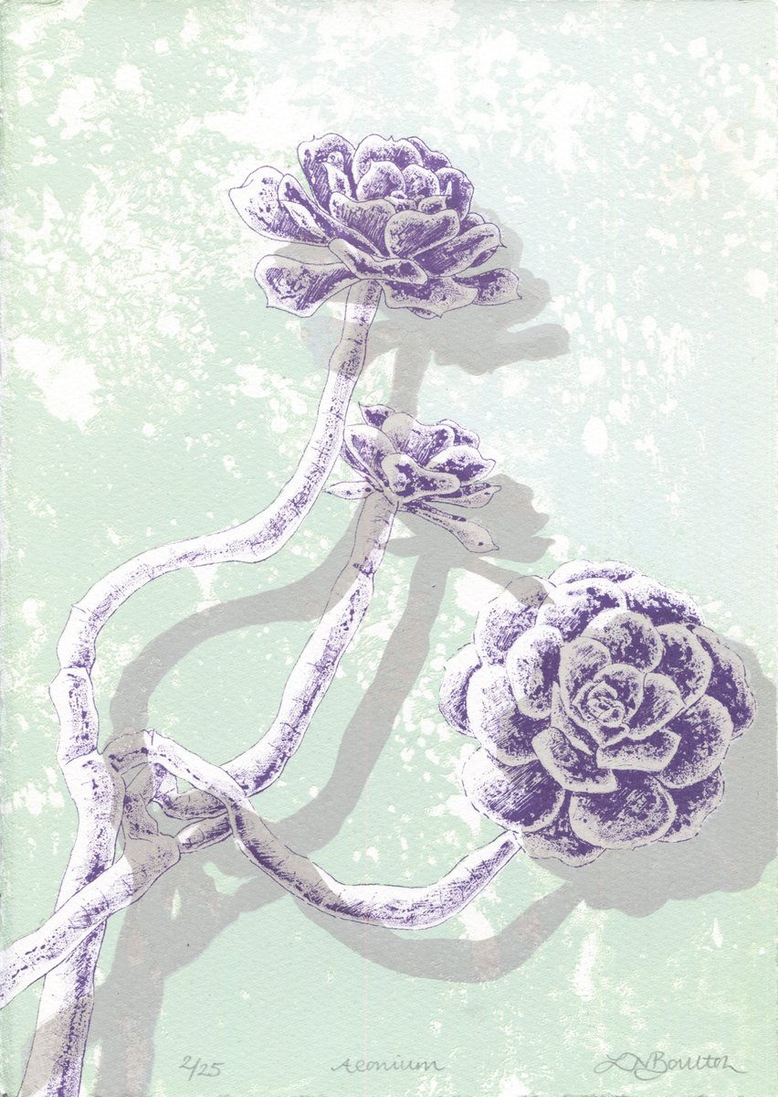 Illustrative Botanical Screenprint By Louise Boulton, 8 X 11", Aeonium On Green, Original Artwork