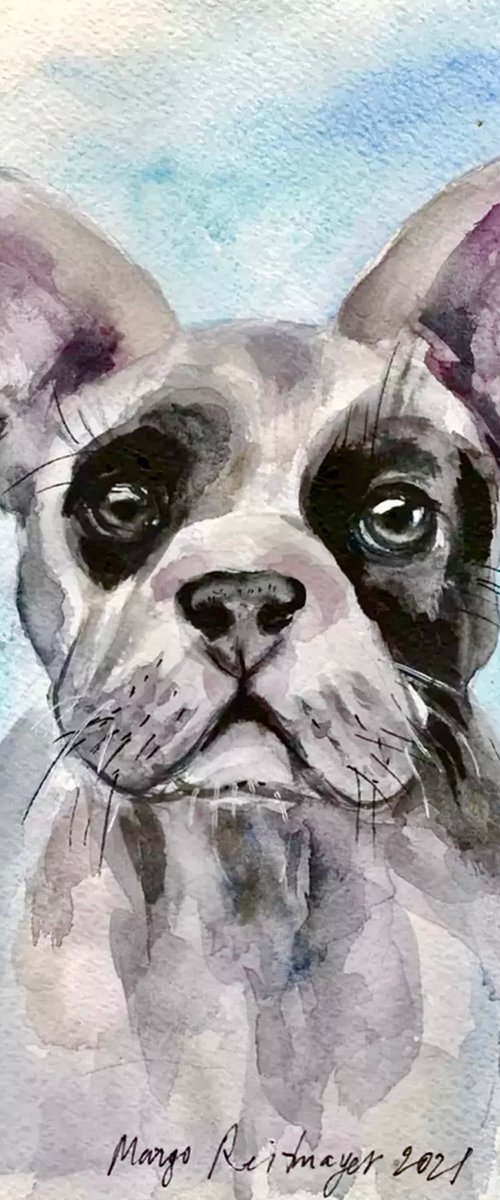 Pug Dog by Morgana Rey