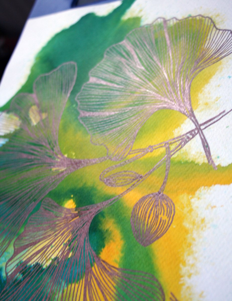 Botanical Drawing By Salana Art / Svetlana Samovarova, 11 X 8", Ginkgo Biloba, Original Artwork