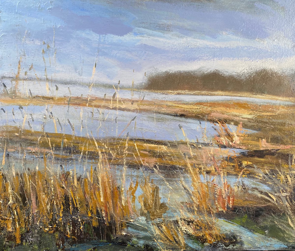 Golden Saltmarsh by Nikki Wheeler