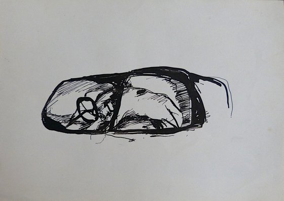 The dog sleeping in the car