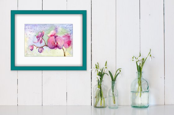 Branch of a blooming orchid. Original watercolor artwork.