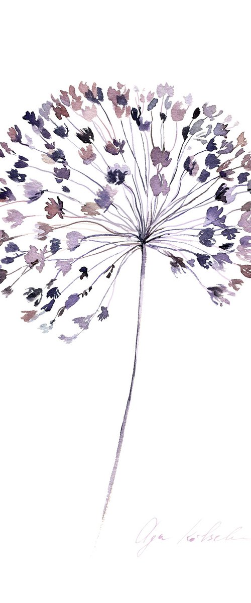 Dried Grass Collection 3 by Olga Koelsch