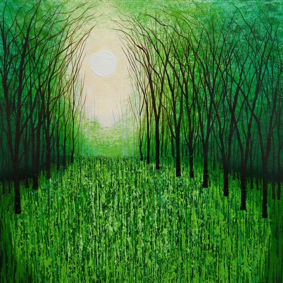 Tanglewood and Evergreen