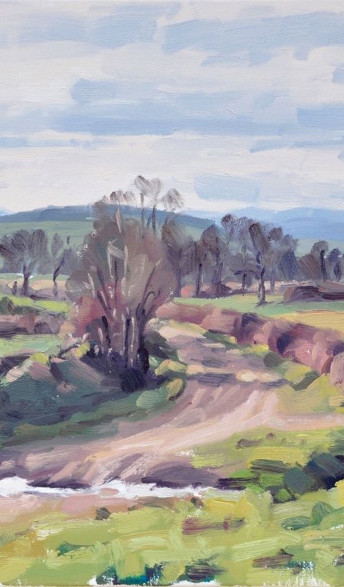 February 25, country lane, morning light by ANNE BAUDEQUIN