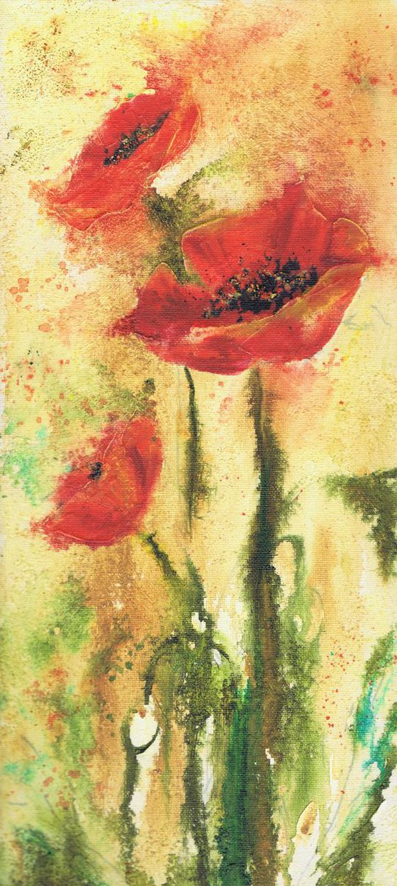 Red Poppies I