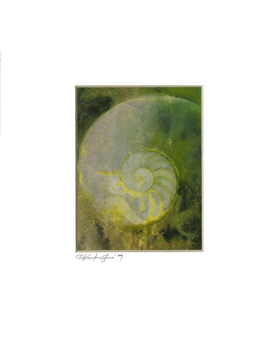 Sea Shell Watercolor Painting, Ocean - Nautilus Shell 942