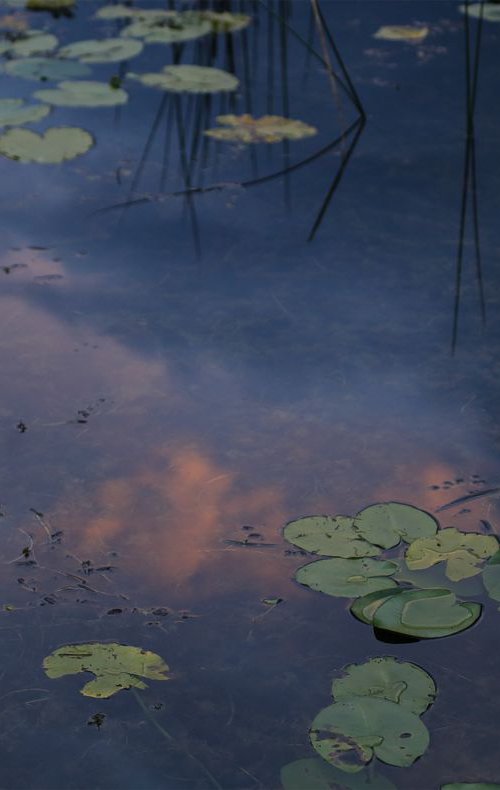 water reflection by Nikola Lav Ralevic