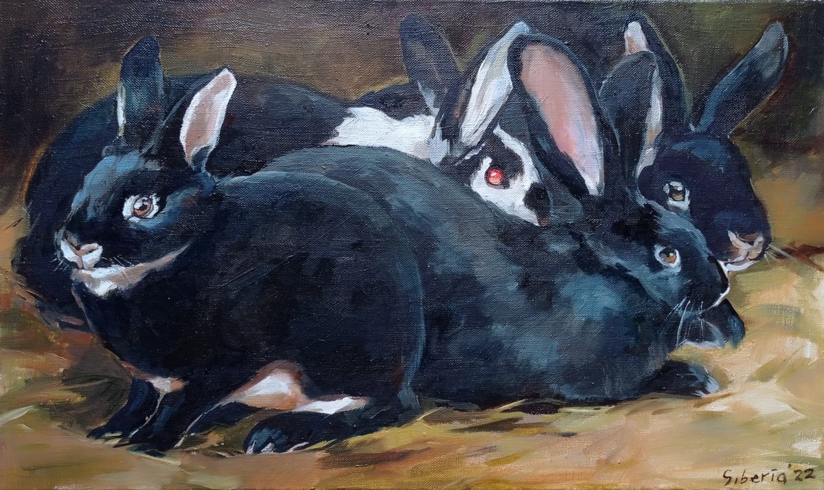 Live velvet. Black rabbits by Elena Utkina