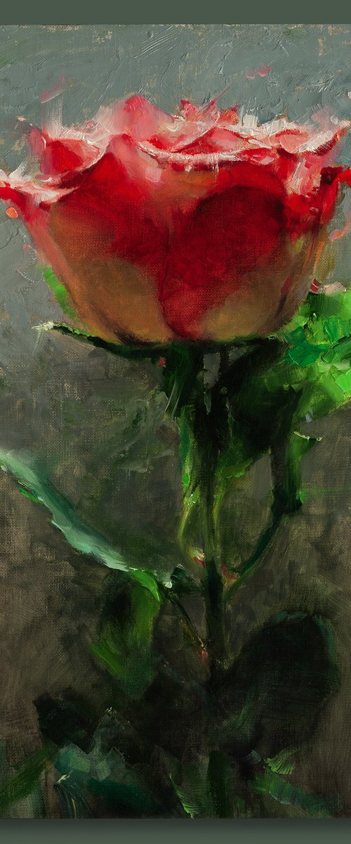 Portrait of the rose by Tom Off