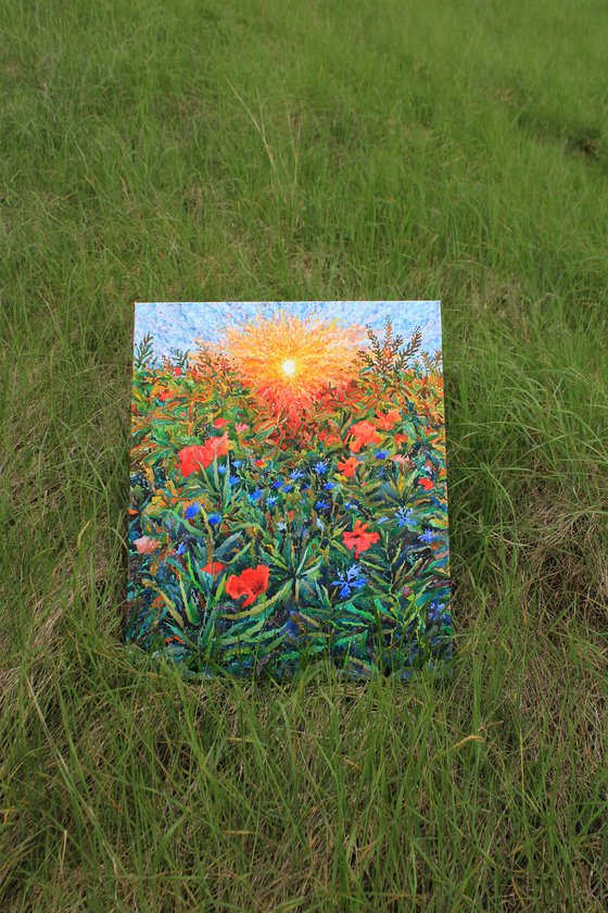 Poppies and Cornflowers in the field