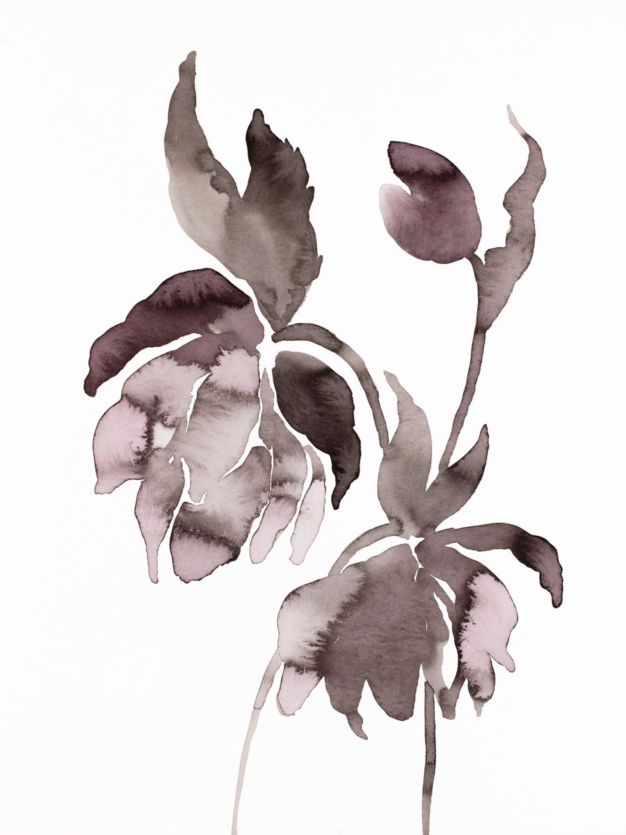 Hellebore No. 13 by Elizabeth Becker