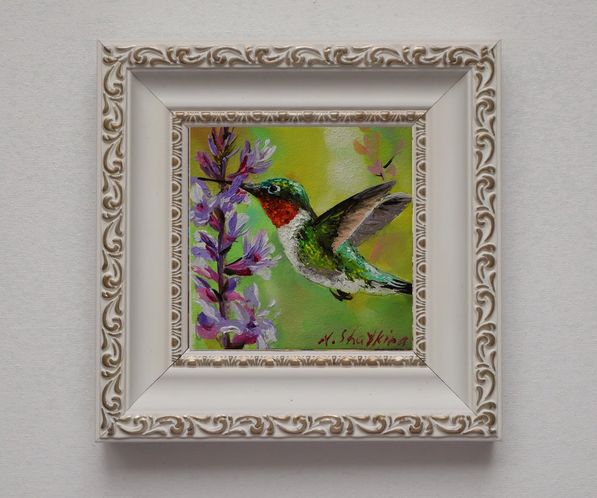 Hummingbird Painting Framed by Natalia Shaykina