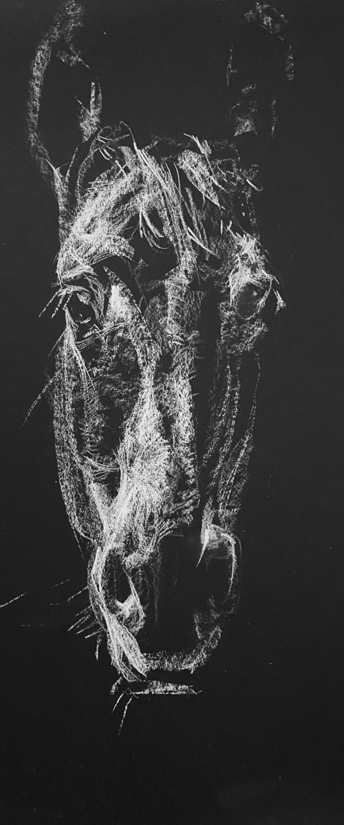 Horse's head I by Olga Bolgar