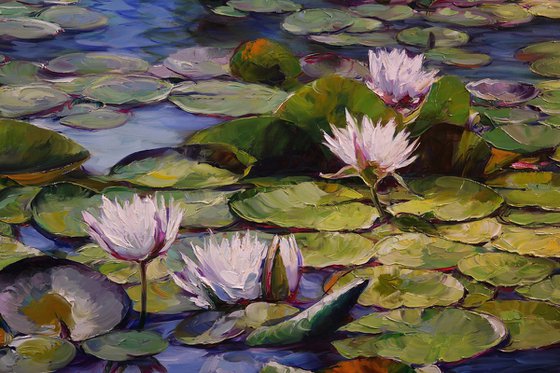 "Lily Pond"