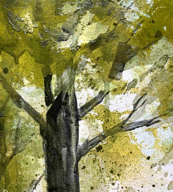 Pathways 6