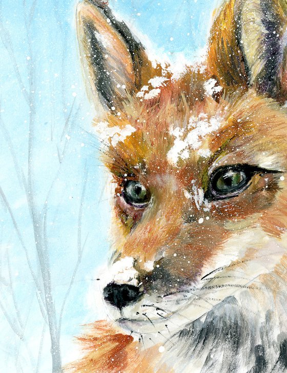 Fox In Snow