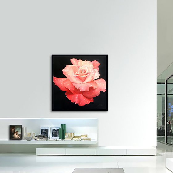 Le Rose
