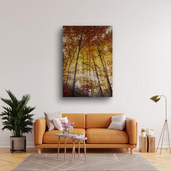 "Light Between the Trees"