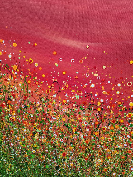 Popping Red Sky Meadows