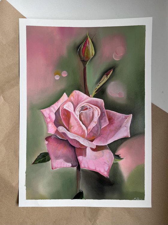 Pink rose oil on paper