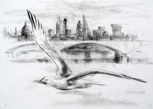 Gull ,Waterloo Bridge by John Sharp