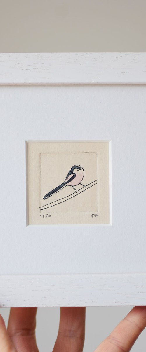Long-tailed tit by Sally Fisher