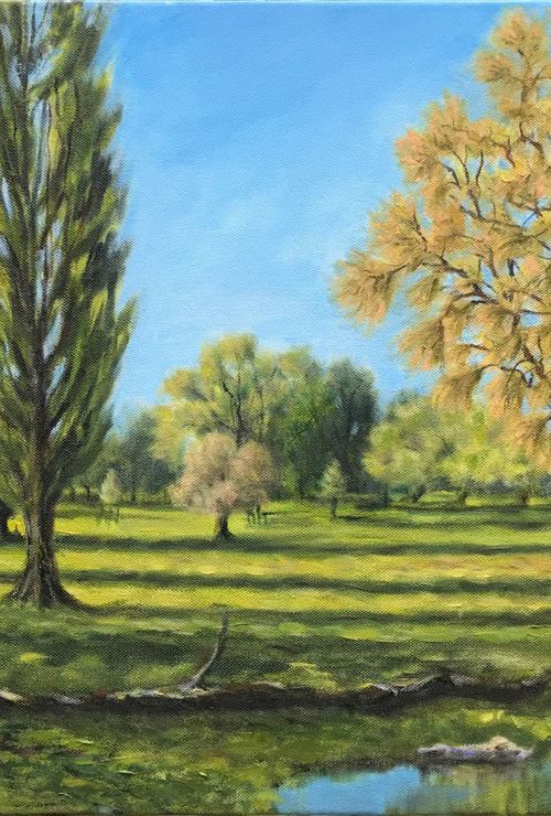 Sheep’s Green, Morning Sun by Ashley Baldwin-Smith