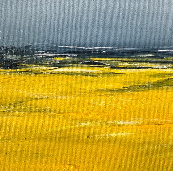 Fields of Yellow