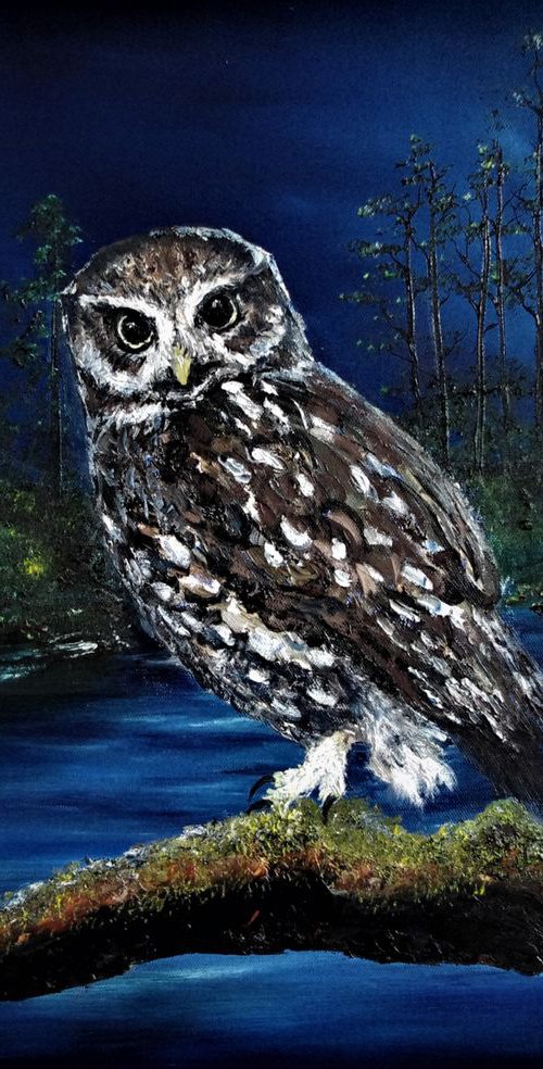 Moonlit Watch  51cm x 61cm by Hazel Thomson