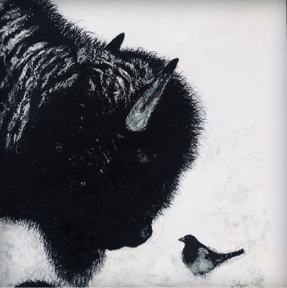 Bison And A Magpie