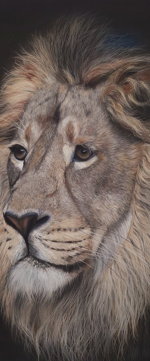 The king by Deimante Bruzguliene