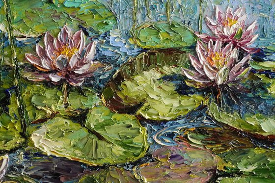 Water Lily Pond