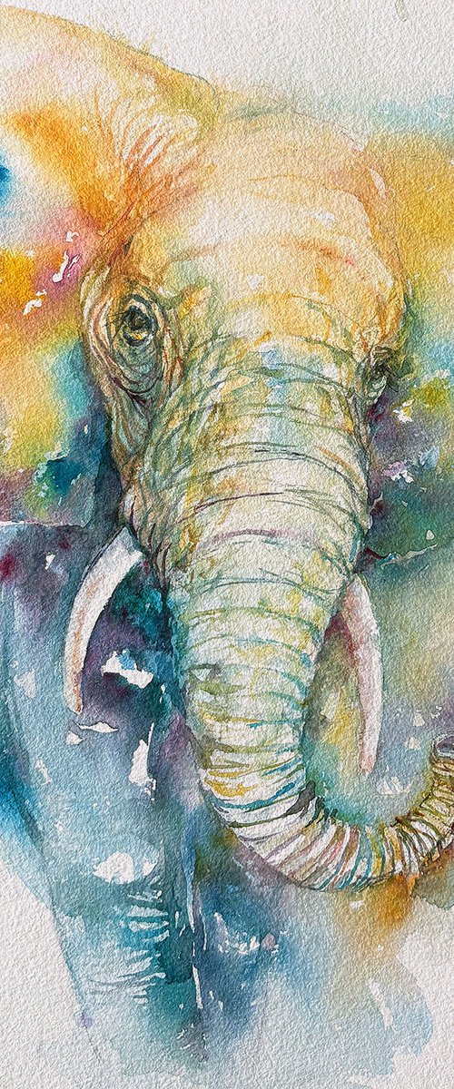 Tyson the Elephant by Arti Chauhan