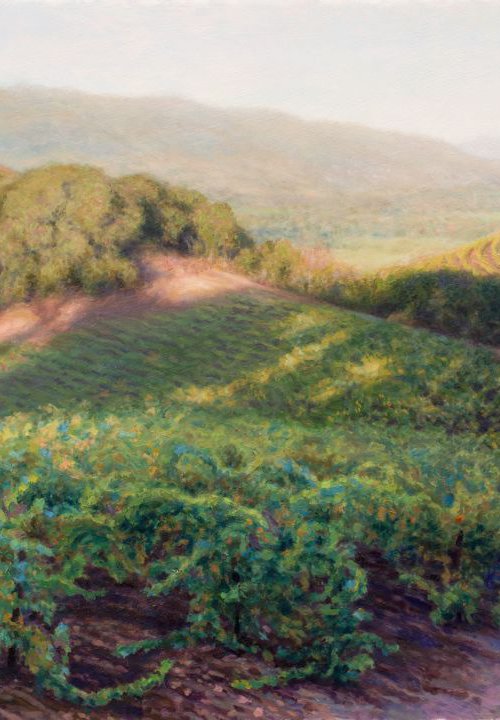Morning in Sonoma Wine Country by Kathy Carney